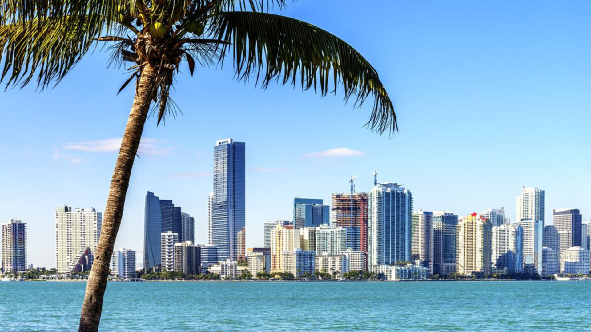 Mila Bay Harbor Islands preconstruction luxury and ultra luxury condos in Bay Harbor Islands near a waterfront skyline view framed by a leaning palm tree and calm blue bay water.